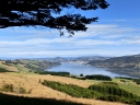 catlins (39)